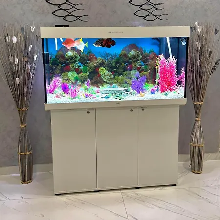 Marsascala Sea View 2 Bed Close To Center! Hpi 9934 شقة